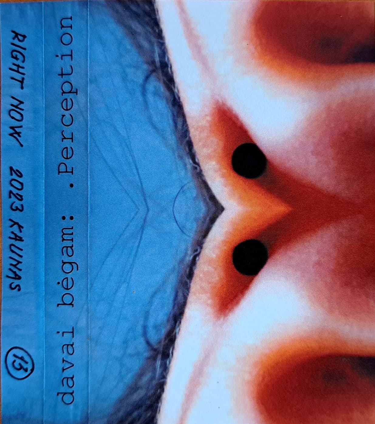 perception album cover