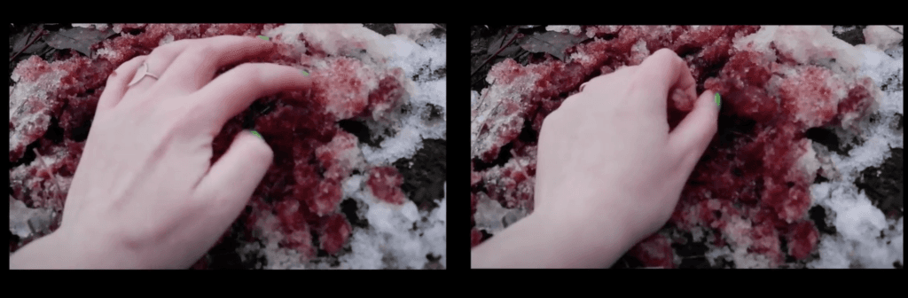 wild tenderness visual